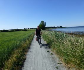 Fahrrad Urlaub Insel Fyn und Ærø  - für Familien und Paare
