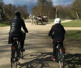 Kopenhagen und Umgebung mit dem Fahrrad entdecken