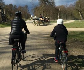 Kopenhagen und Umgebung mit dem Fahrrad entdecken